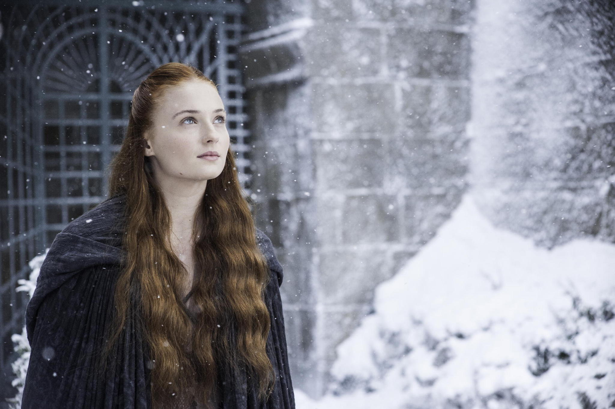 Sansa in the snow