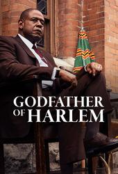 Image illustrative de Godfather of Harlem