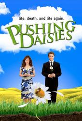 Image illustrative de Pushing Daisies
