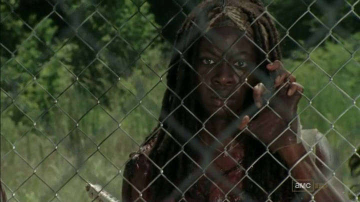 Michonne - The Walking Dead - S03E06