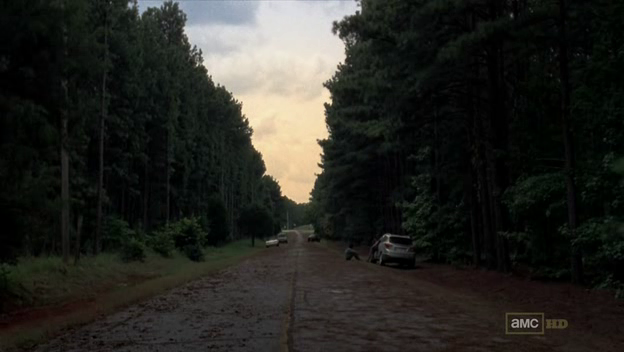Le calme après la tempête - The Walking Dead - S03E09