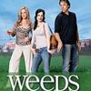 Weeds