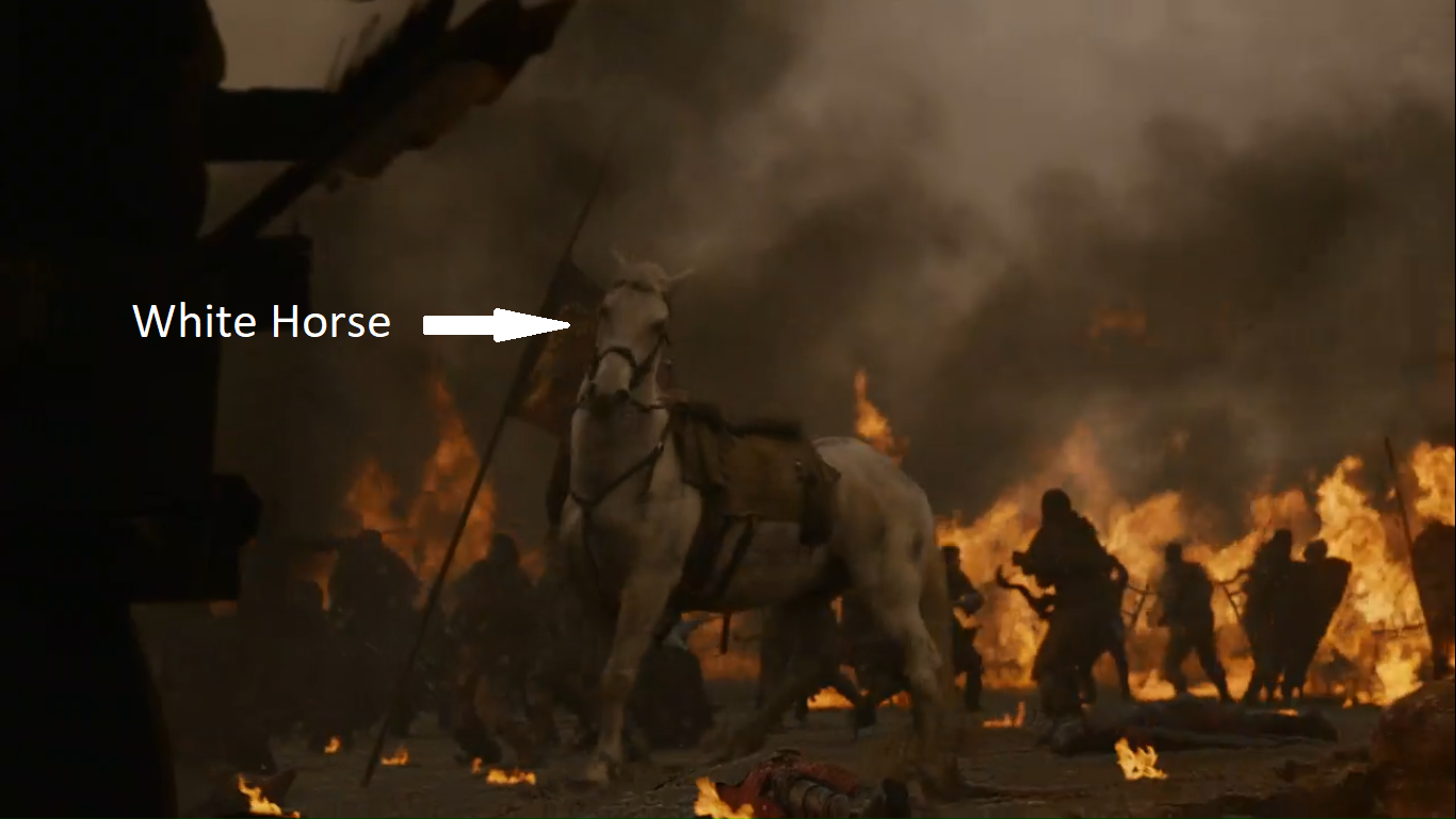 Le cheval blanc de Bronn