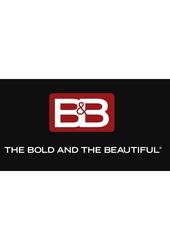 Image illustrative de The Bold and the Beautiful