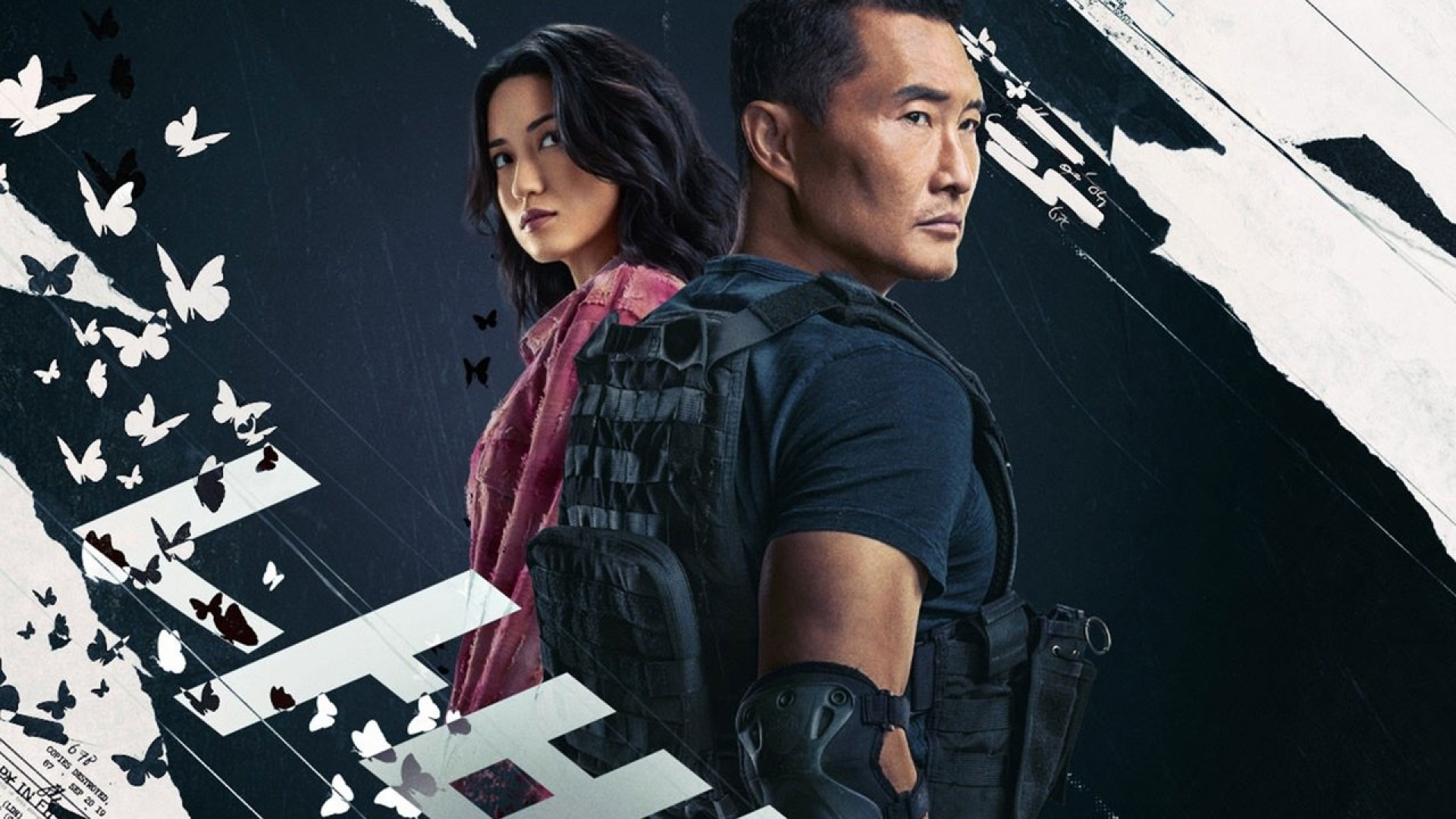 Image illustrative de Butterfly