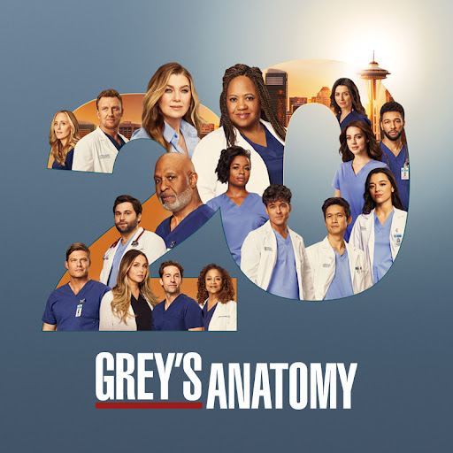 Affiche de la saison 20 de Grey's Anatomy