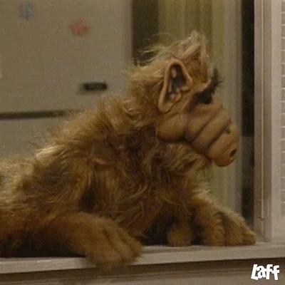 Gif Alf perplexe