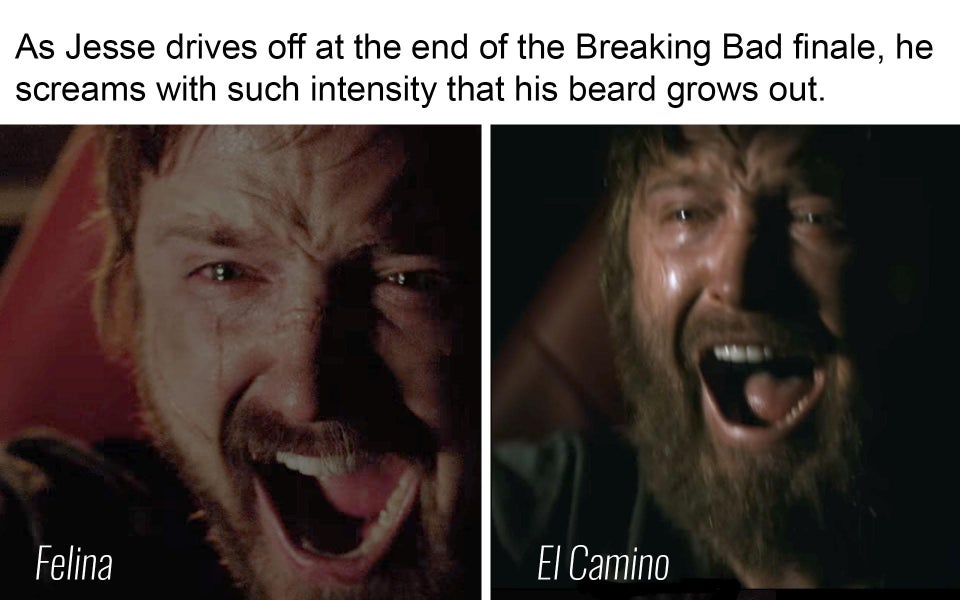 Fin de Breaking Bad/Début d'El Camino
